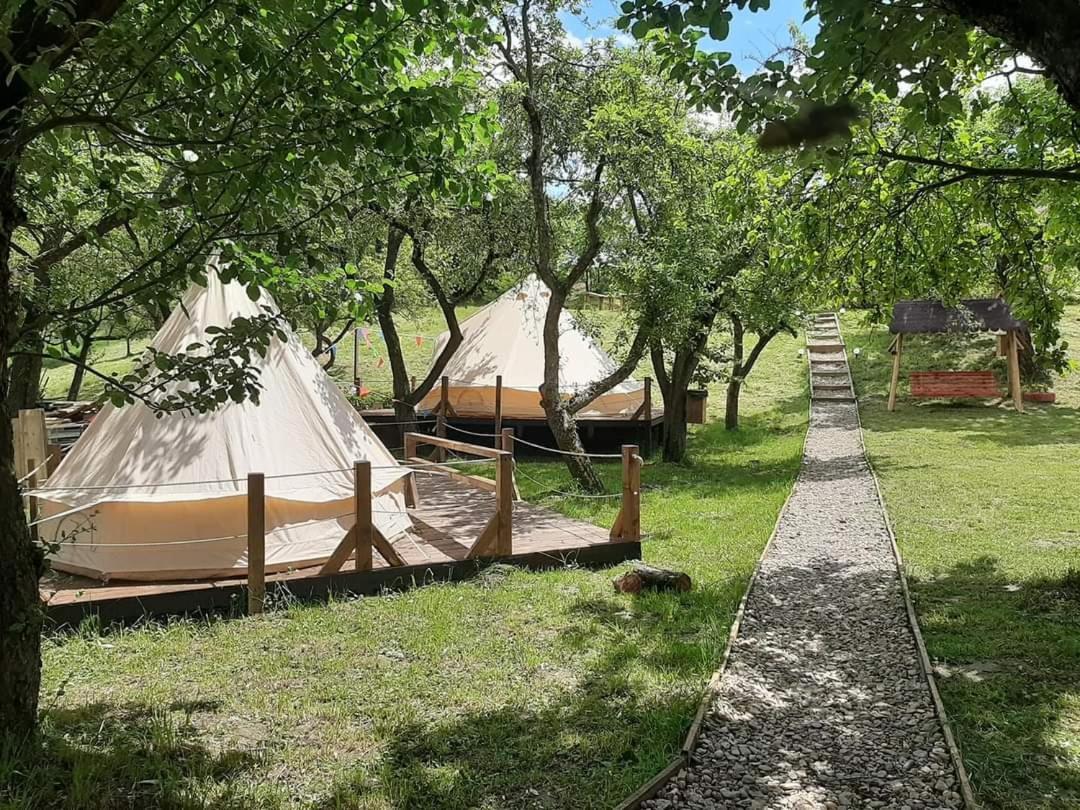 My Lake Glamping Dalnic Exteriör bild