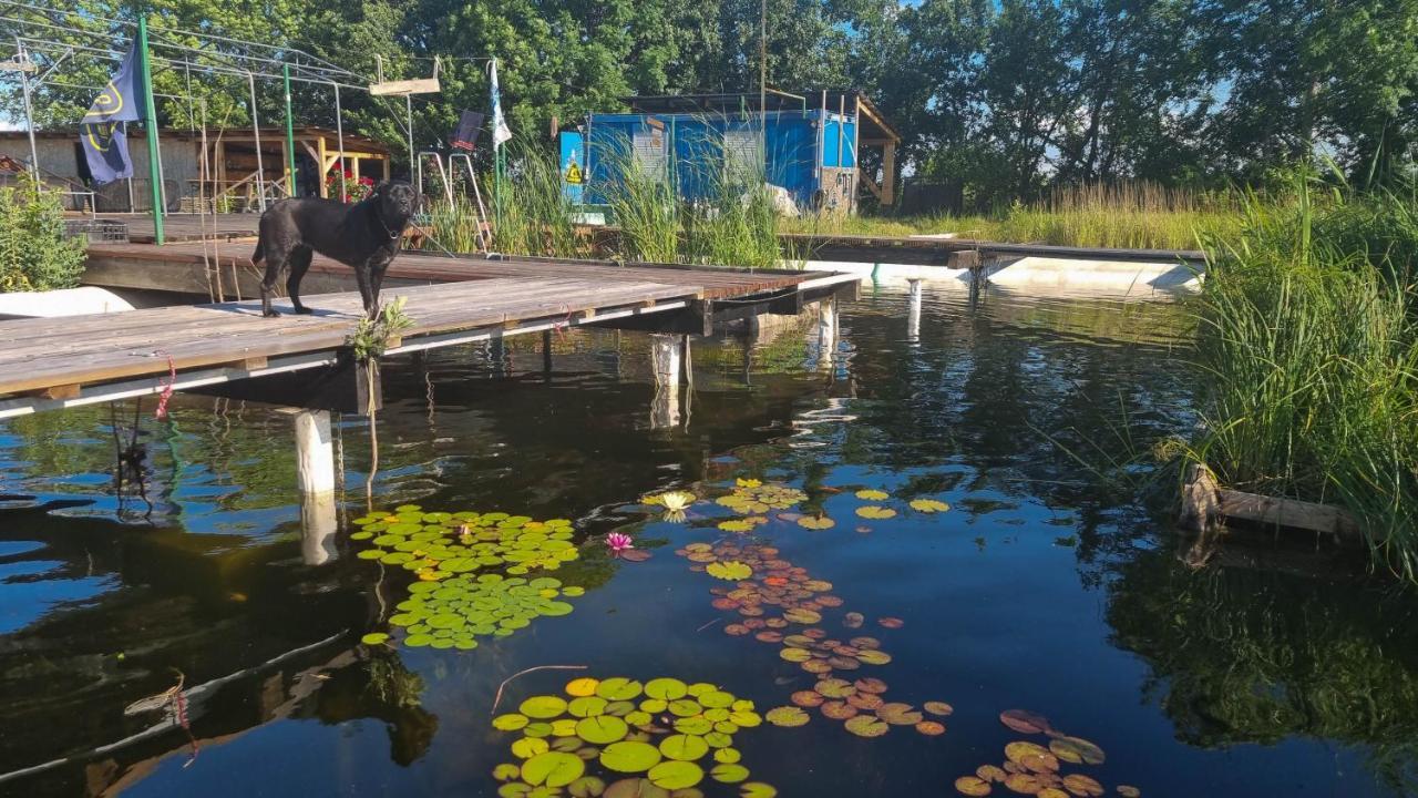 My Lake Glamping Dalnic Exteriör bild