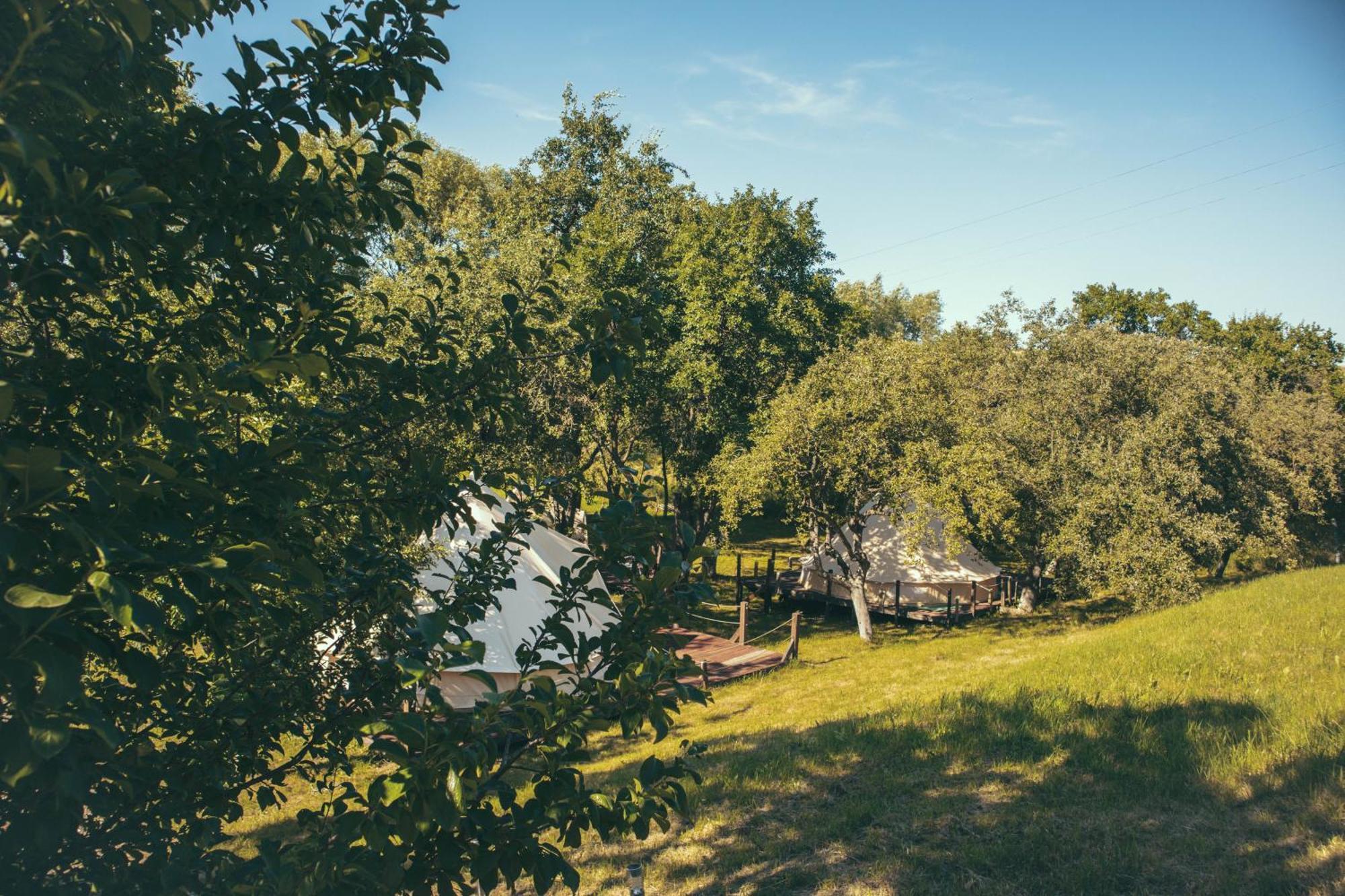 My Lake Glamping Dalnic Exteriör bild
